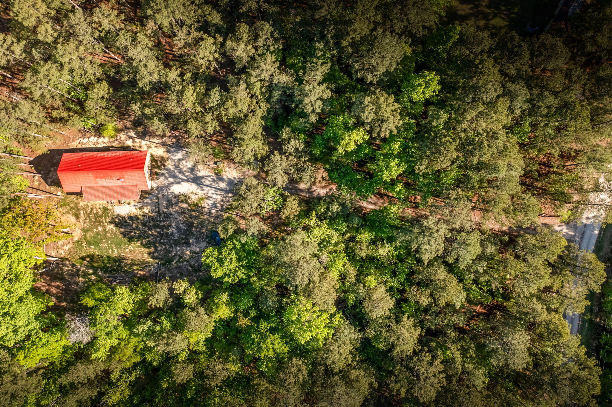 1060 Sims Road Lincolnton, GA 30817 - Photo 52 of 68 52-web-or-mls-1060 Sims Road-21