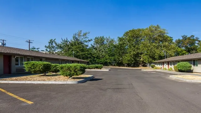 a view of a garden with an outdoor space