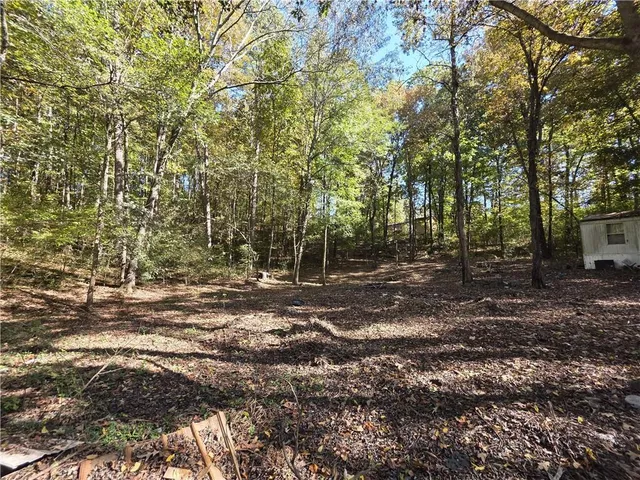 a view of a forest with trees