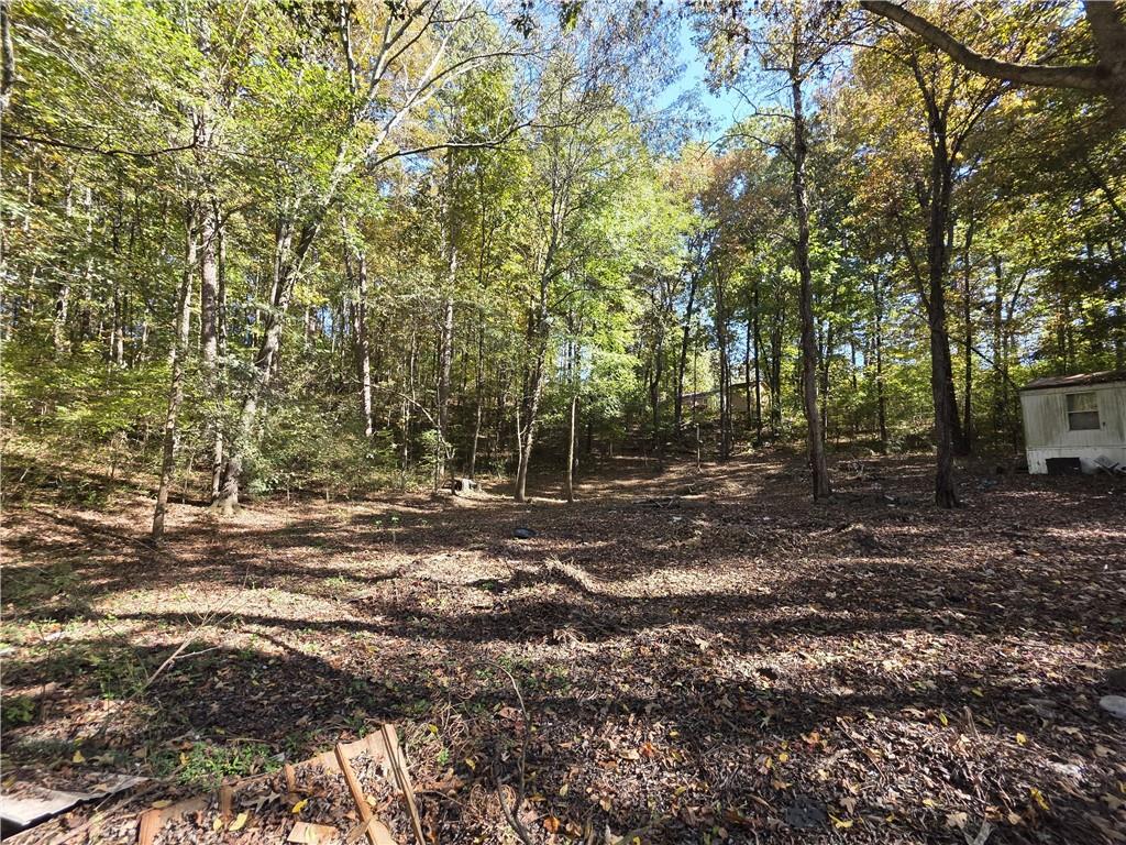 405 Chambers Lane Ringgold, GA 30736 - Photo 3 of 11 a view of a forest with trees