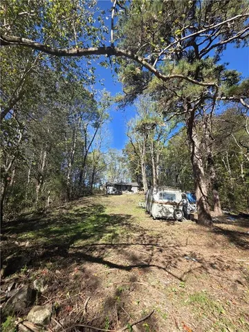 a view of a yard with large trees
