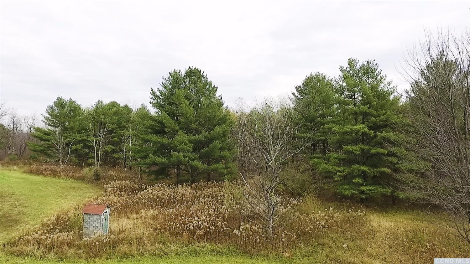 204 Travis Hill Road Rensselaerville, NY 12469 - Photo 19 of 37 Photo 19