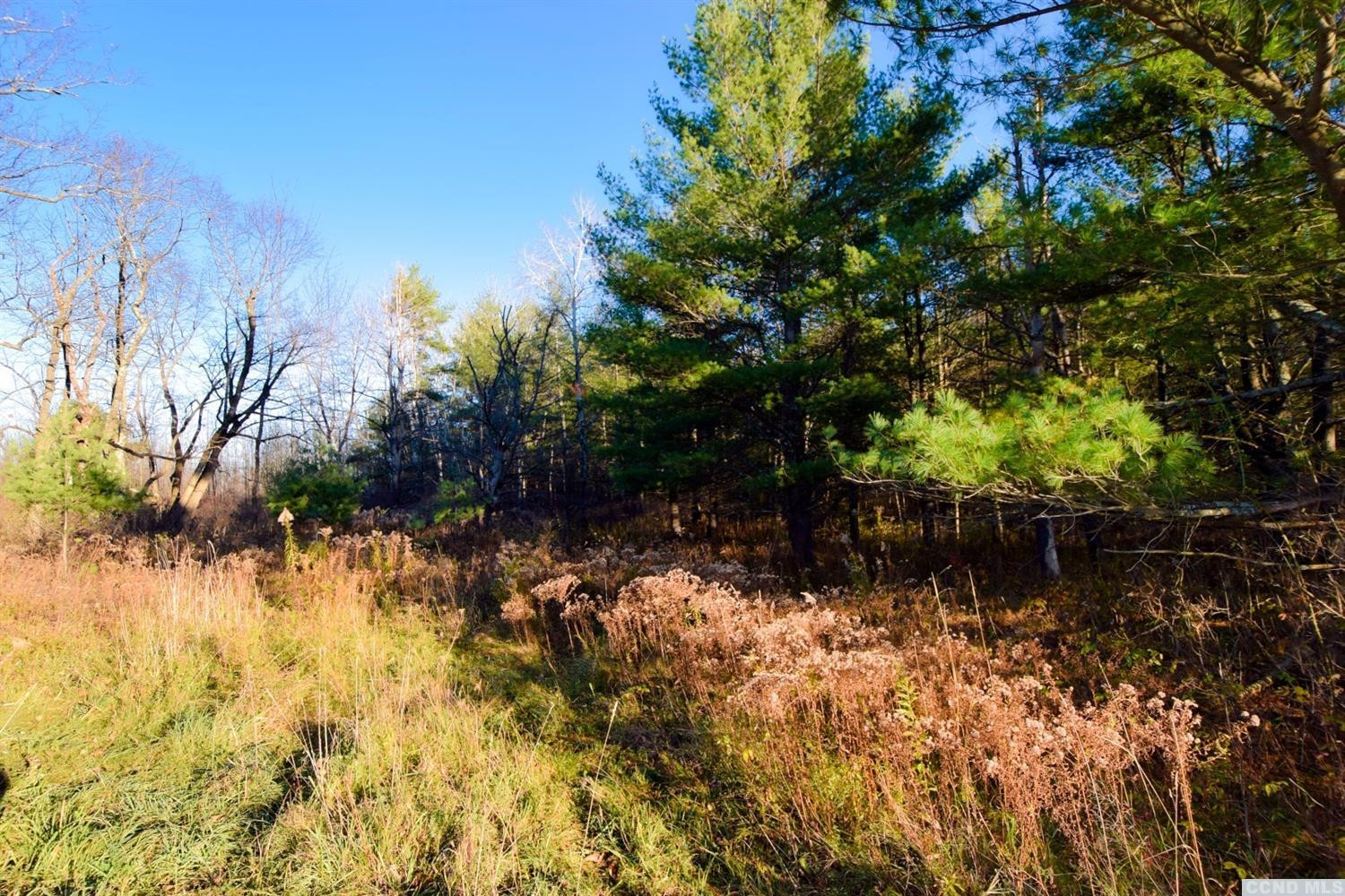 204 Travis Hill Road Rensselaerville, NY 12469 - Photo 27 of 37 Photo 27