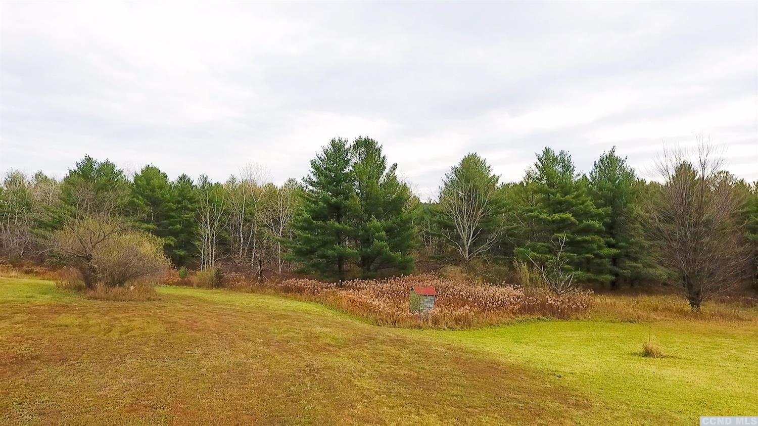 204 Travis Hill Road Rensselaerville, NY 12469 - Photo 4 of 37 Photo 4