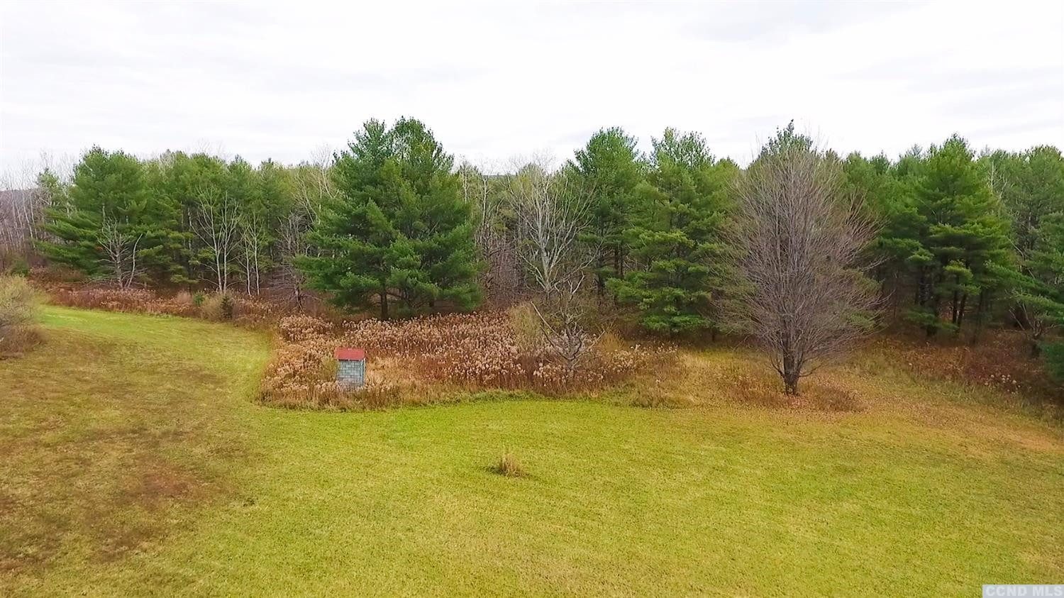 204 Travis Hill Road Rensselaerville, NY 12469 - Photo 7 of 37 Photo 7