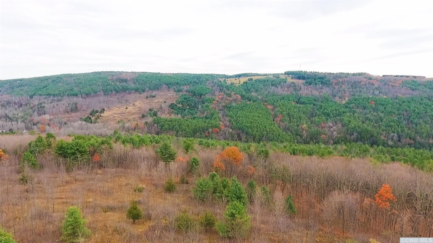 204 Travis Hill Road Rensselaerville, NY 12469 - Photo 9 of 37 Photo 9