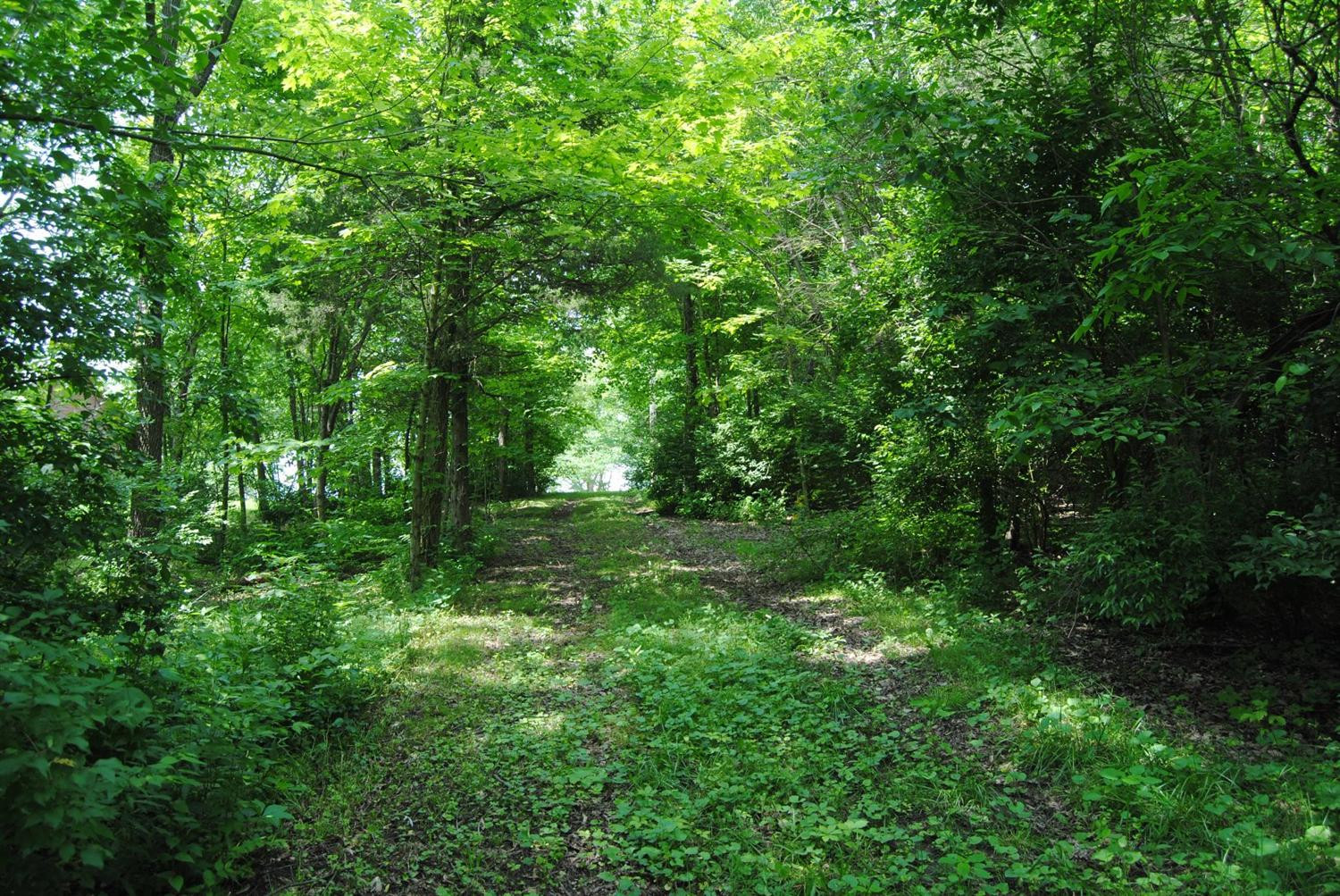 860 Battlefield Road Perryville, KY 40468 - Photo 10 of 29 Photo 10