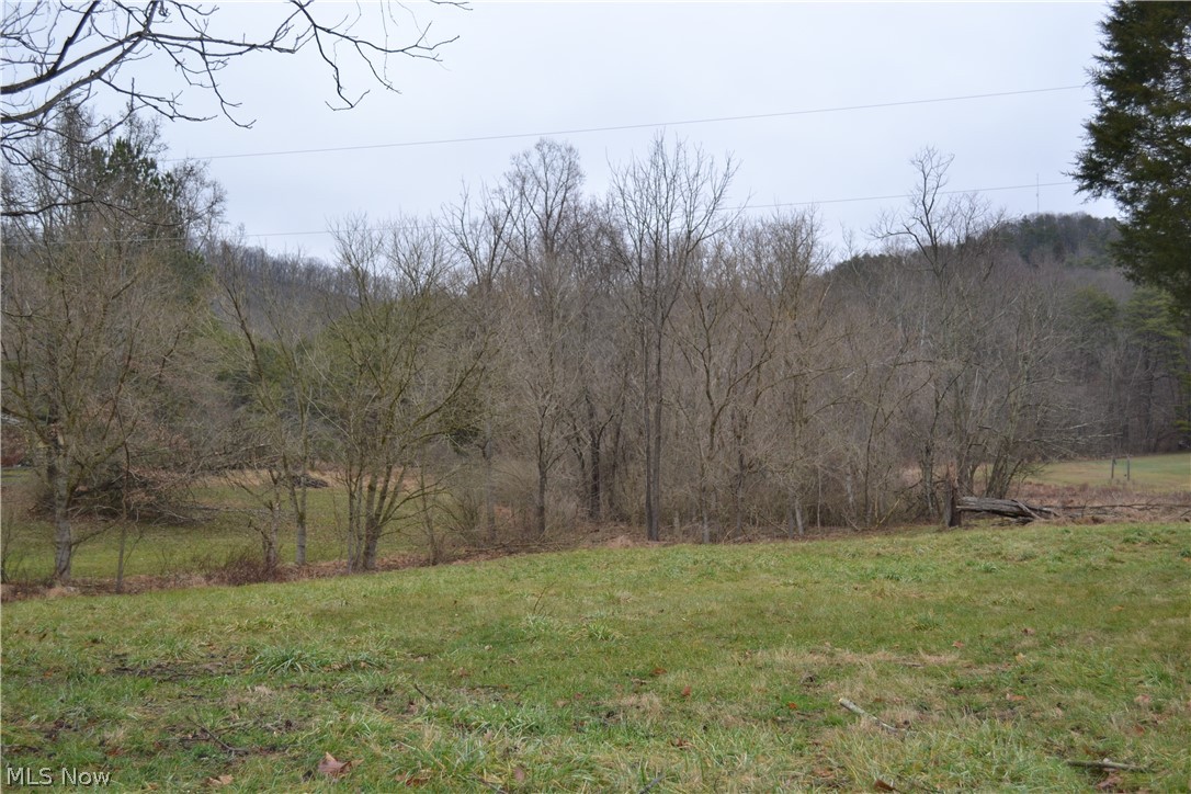 2775 Buckner Bend Walker, WV 26180 - Photo 6 of 7
