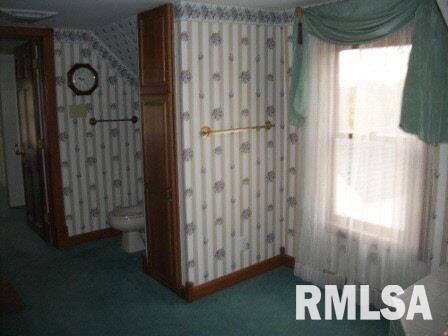 4704 Country Club Road Murphysboro, IL 62966 - Photo 26 of 26