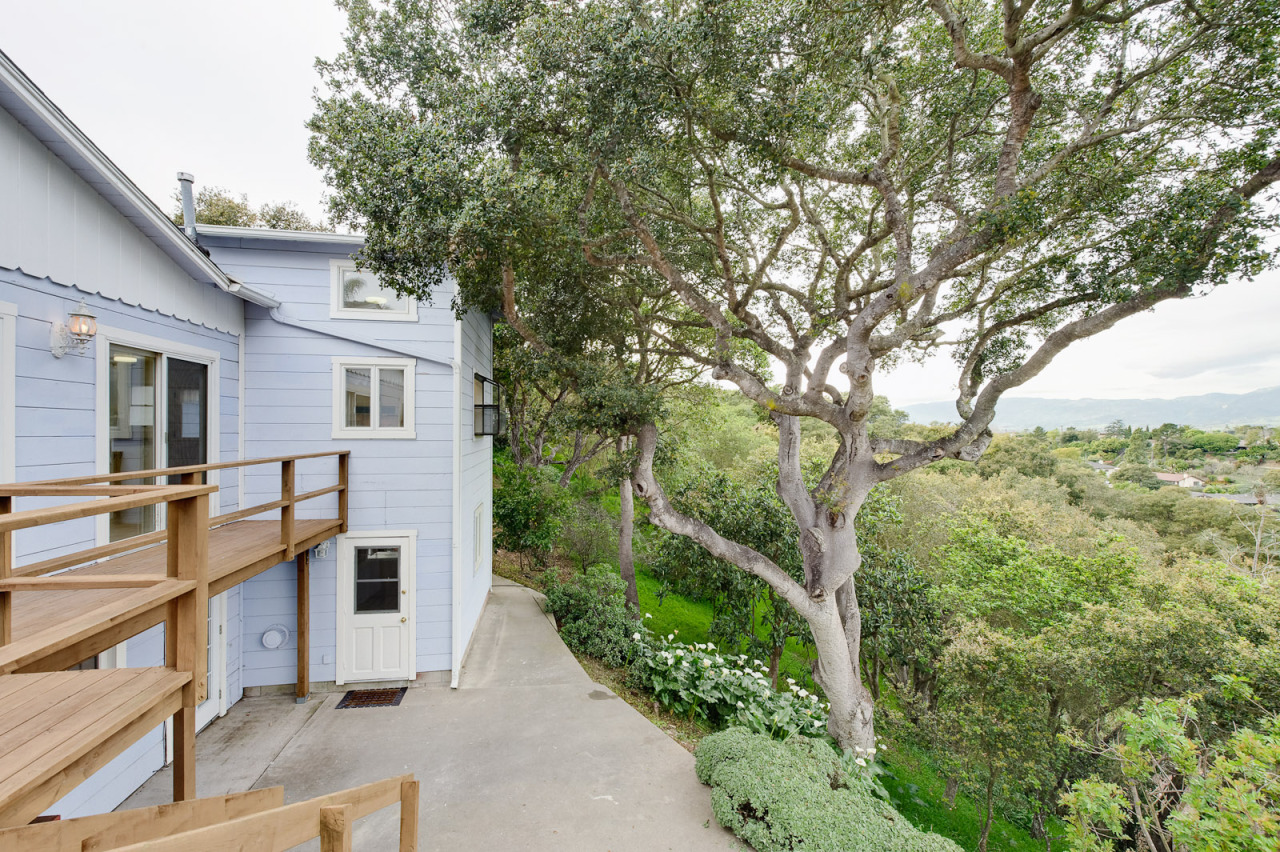 1470 La Cima Road Santa Barbara, CA 93101 - Photo 17 of 17 Hillside Full Of Oaks