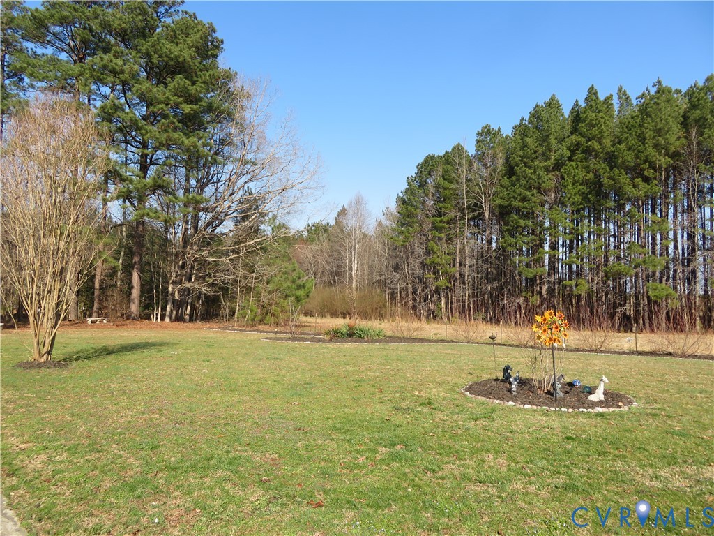 44 Adsit Lane Freeman, VA 23856 - Photo 3 of 58 a view of yard with swimming pool and trees