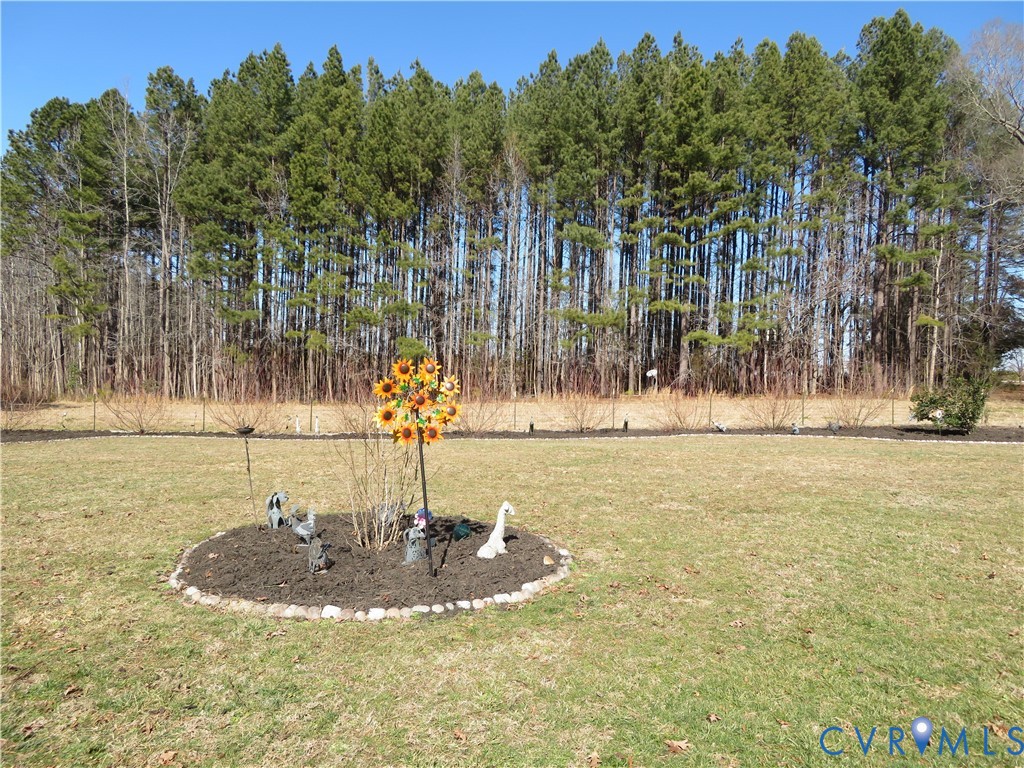 44 Adsit Lane Freeman, VA 23856 - Photo 5 of 43