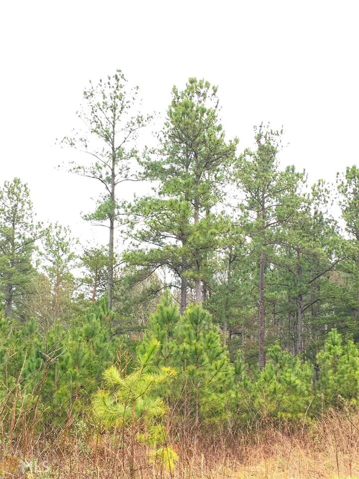 0 Moss Road, Unit LOT 22 Fairmount, GA 30139 - Photo 1 of 1 a view of a yard with a tree
