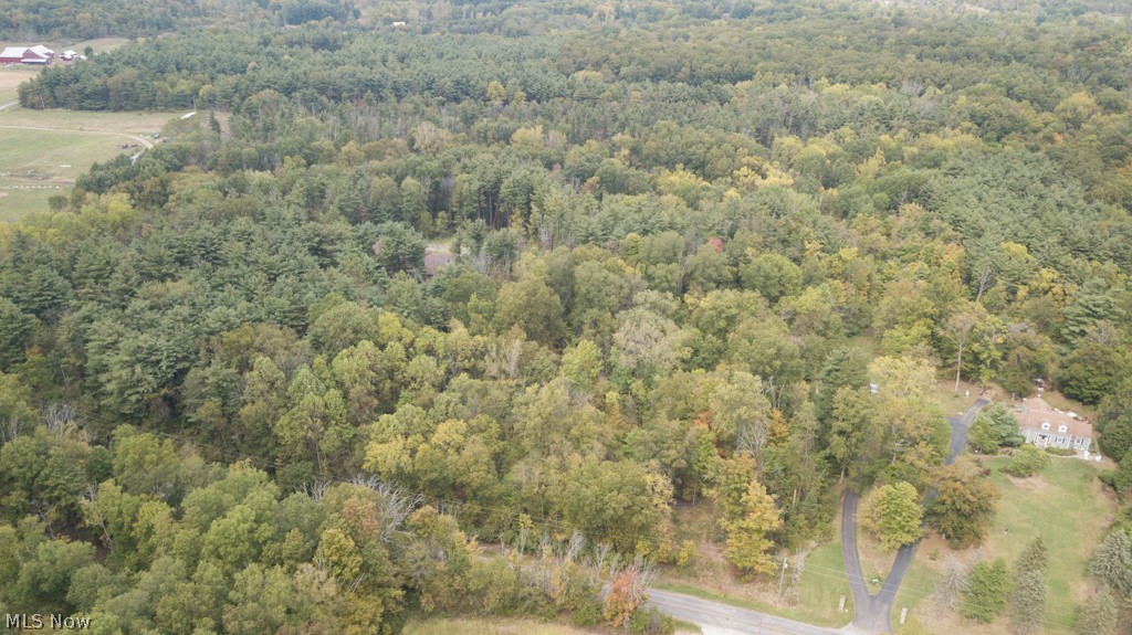 11225 Williams Road Homerville, OH 44235 - Photo 6 of 13 Gallery Image 6