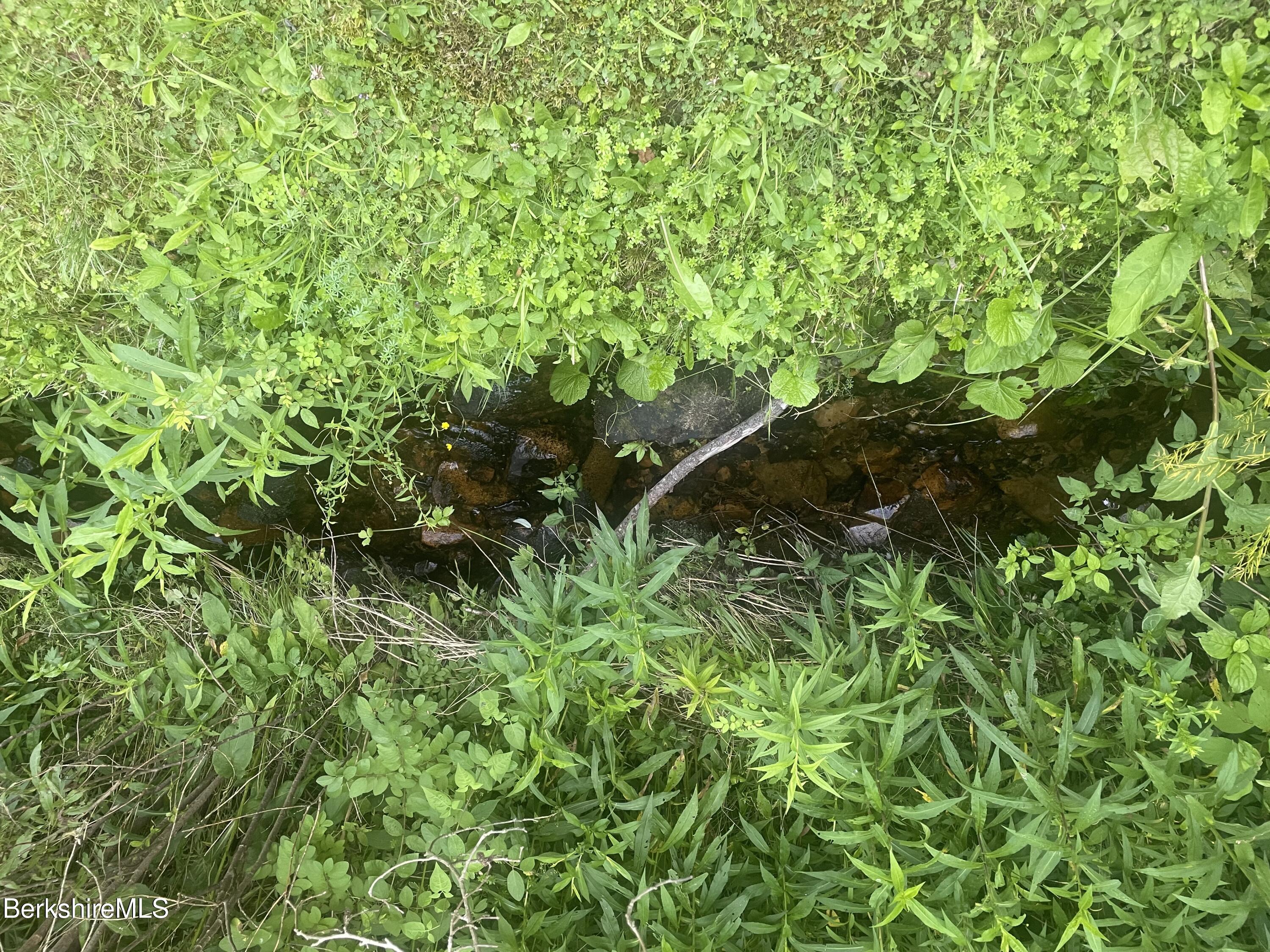 14 Blotz Road Washington, MA 01223 - Photo 27 of 28 IMG_3803