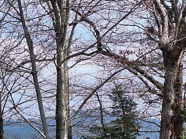 a view of patio with table and chairs under an umbrella