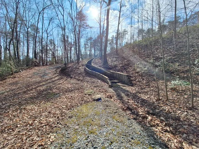 a view of a yard with wooden fence