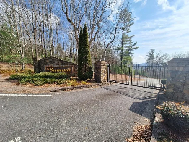 a view of a street with a large trees