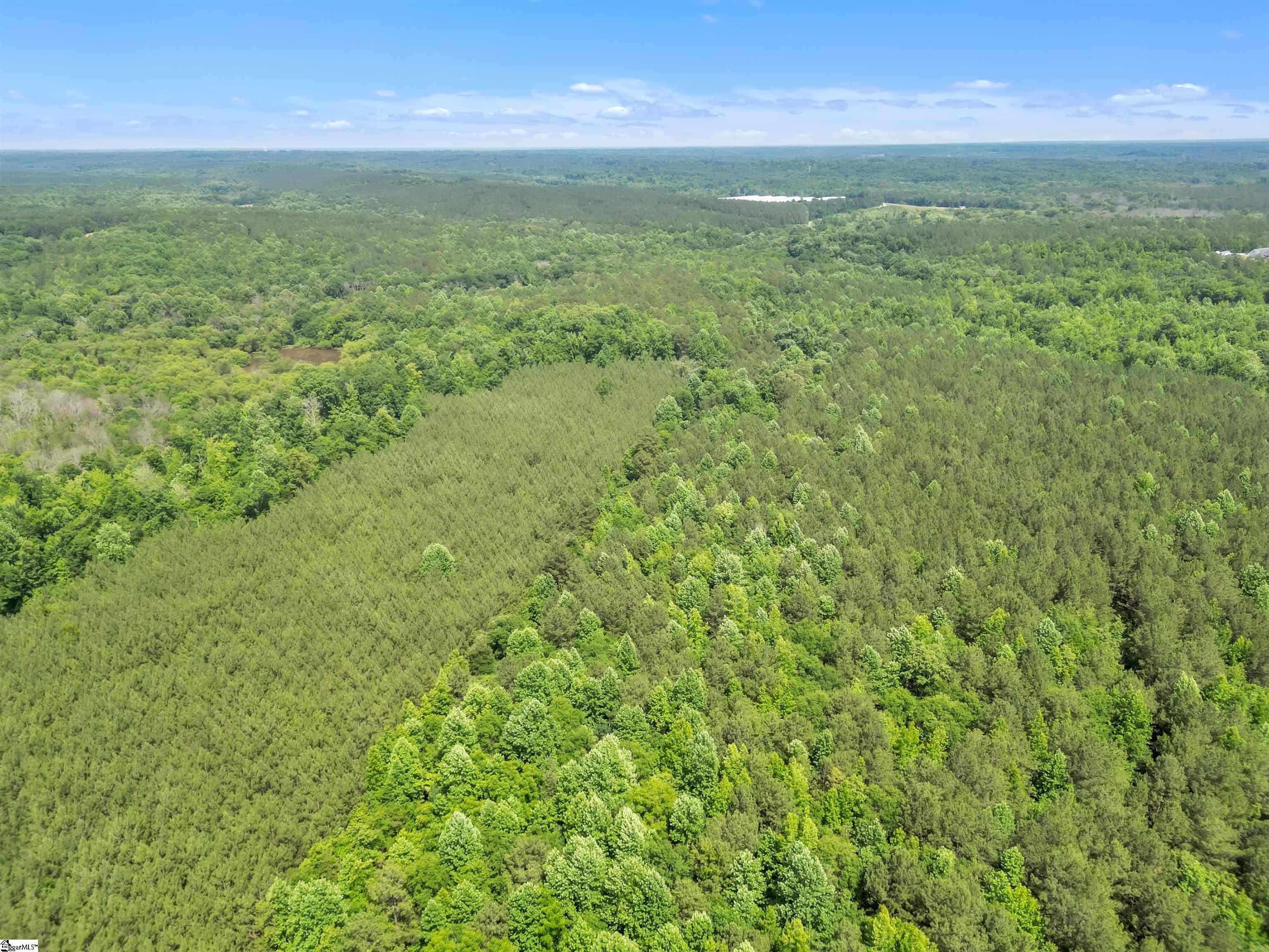 0 Simpson Mill Road Laurens, SC 29360 - Photo 18 of 20
