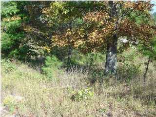 260 Fuzz Rollins Road Whitwell, TN 37397 - Photo 1 of 3 Primary Photo
