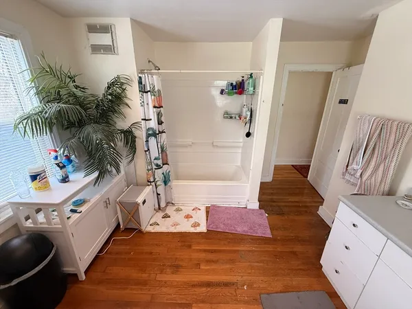 $4,850 | 7-9 Biltmore Street, Unit 9, Boston, MA 02130