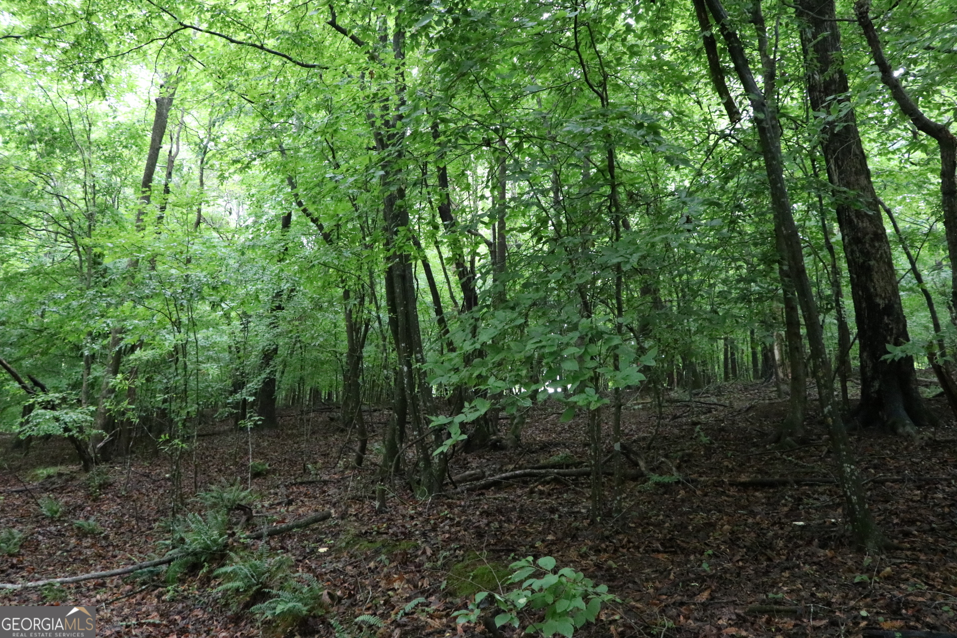833 Neal Gap Road Summerville, GA 30747 - Photo 55 of 86