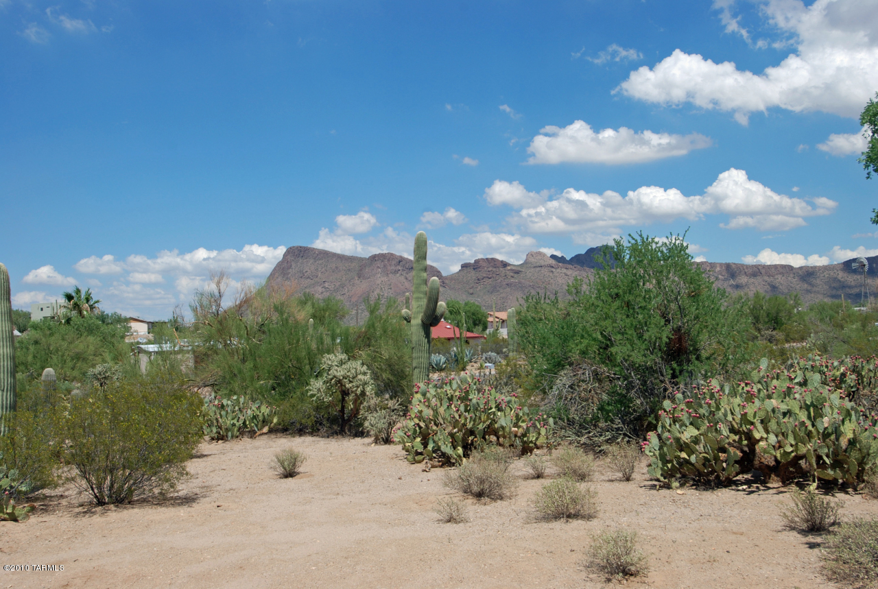 10001 West Picture Rocks Road Tucson, AZ 85743 - Photo 10 of 10 Gallery Image 10