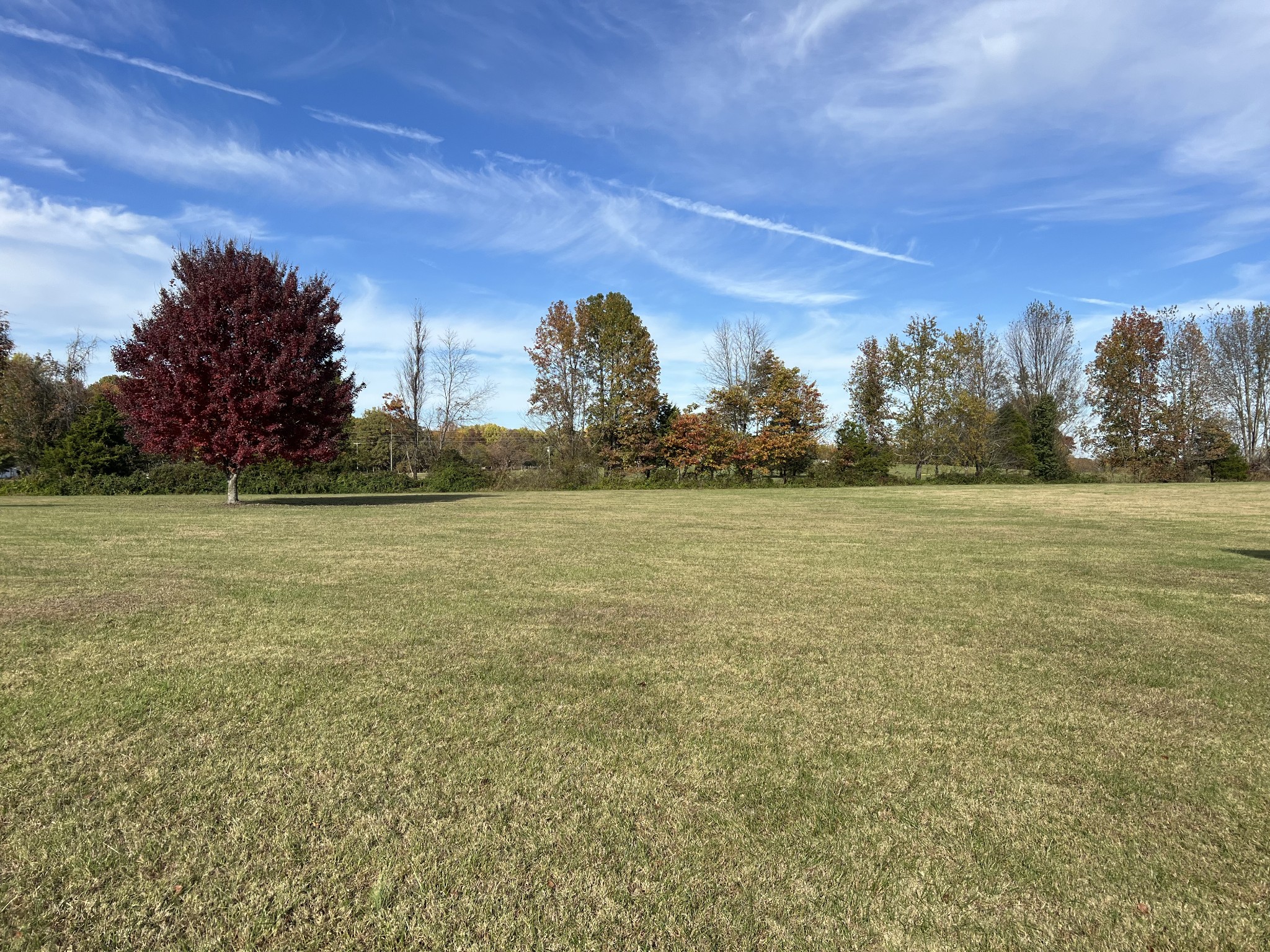 3716 Scottsville Road Lafayette, TN 37083 - Photo 21 of 21 a view of a field with trees in background