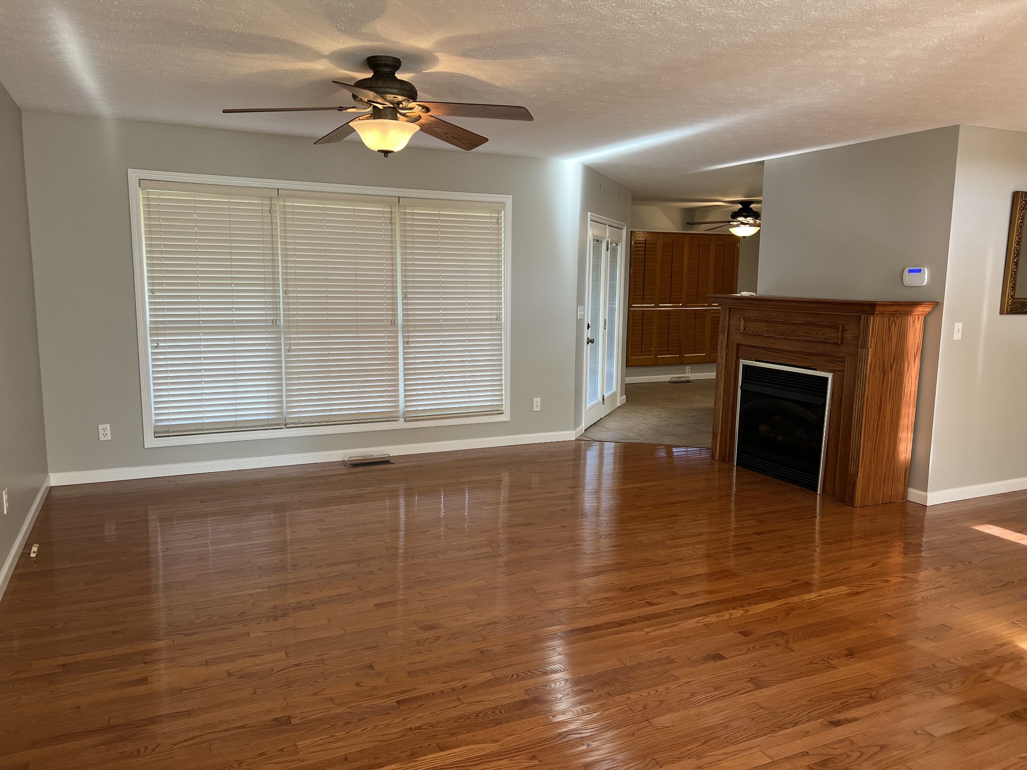 3716 Scottsville Road Lafayette, TN 37083 - Photo 8 of 21 wooden floor in an empty room with a fireplace and a window