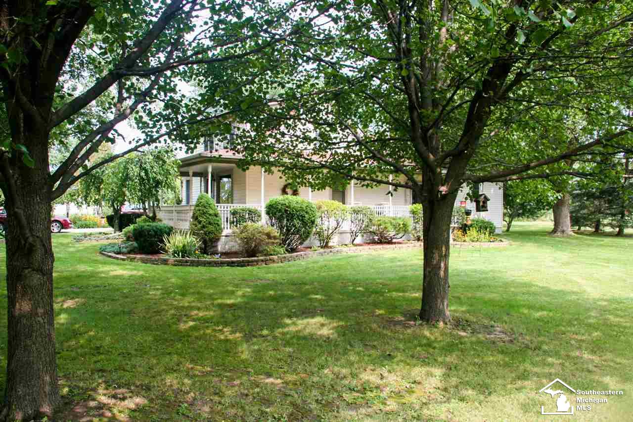31357484-4.JPG