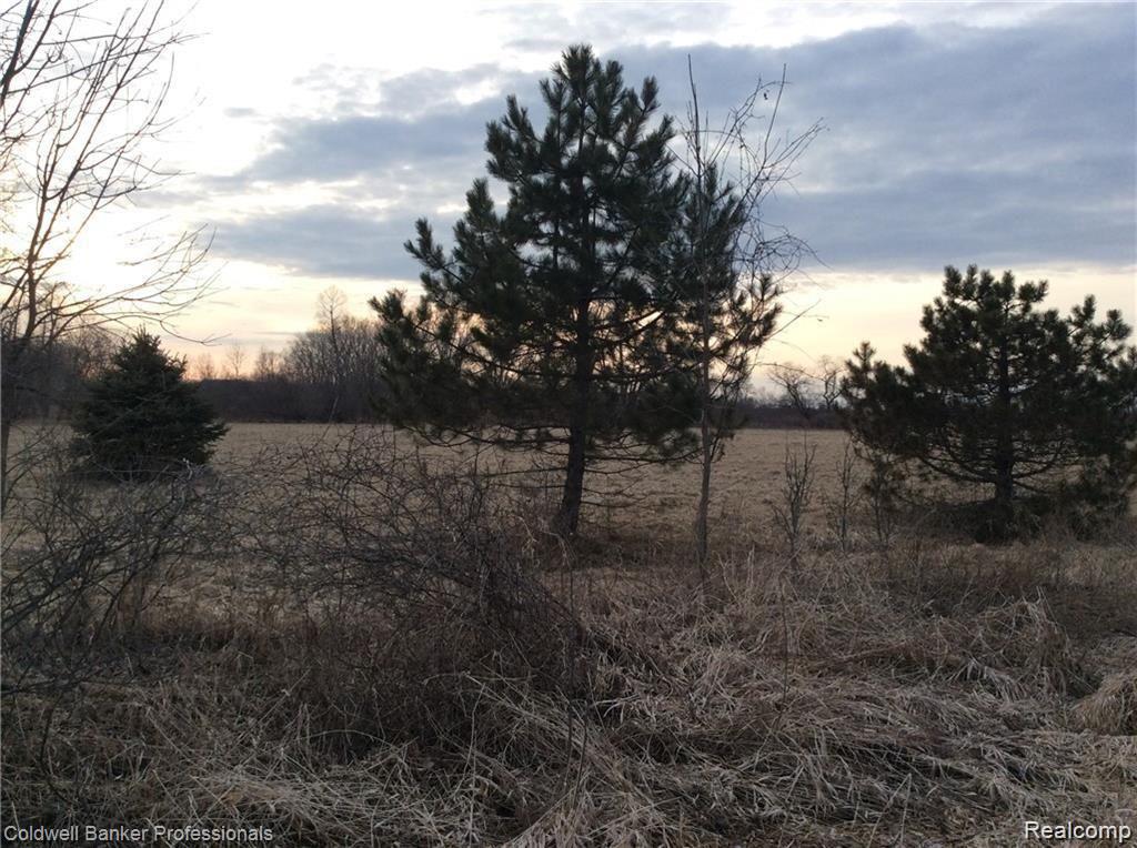 0 Wheeler Road Allenton, MI 48002 - Photo 1 of 3