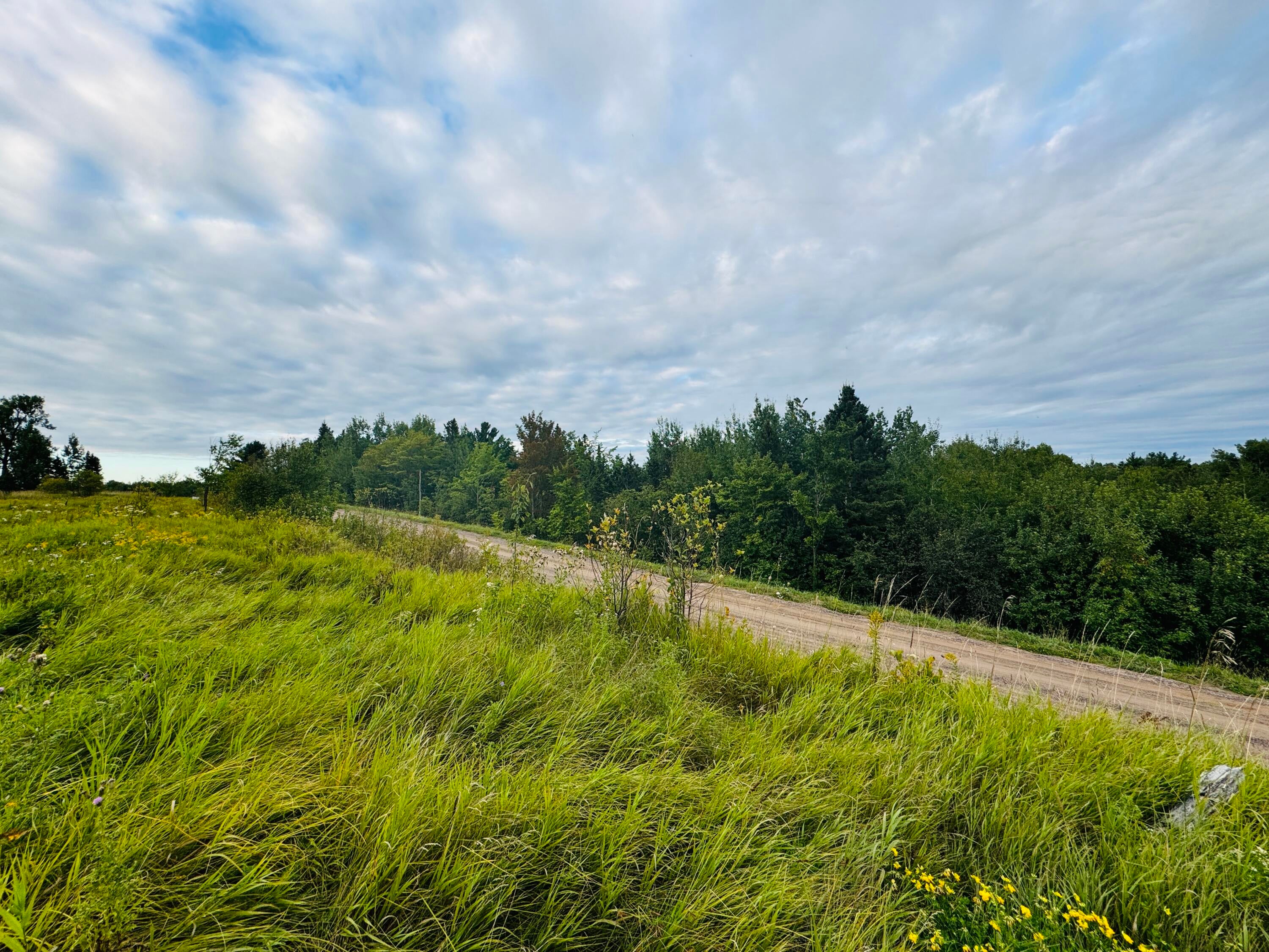 0 South Ridge Road Sault Ste. Marie, MI 49783 - Photo 3 of 10 Gallery Image 3