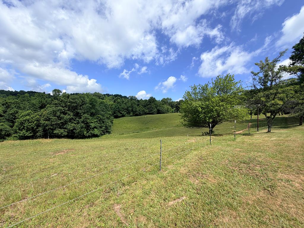 72 Fox Glen Road Fancy Gap, VA 24328 - Photo 5 of 66 Gallery Image 5
