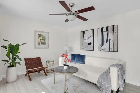 a living room with furniture and a potted plant