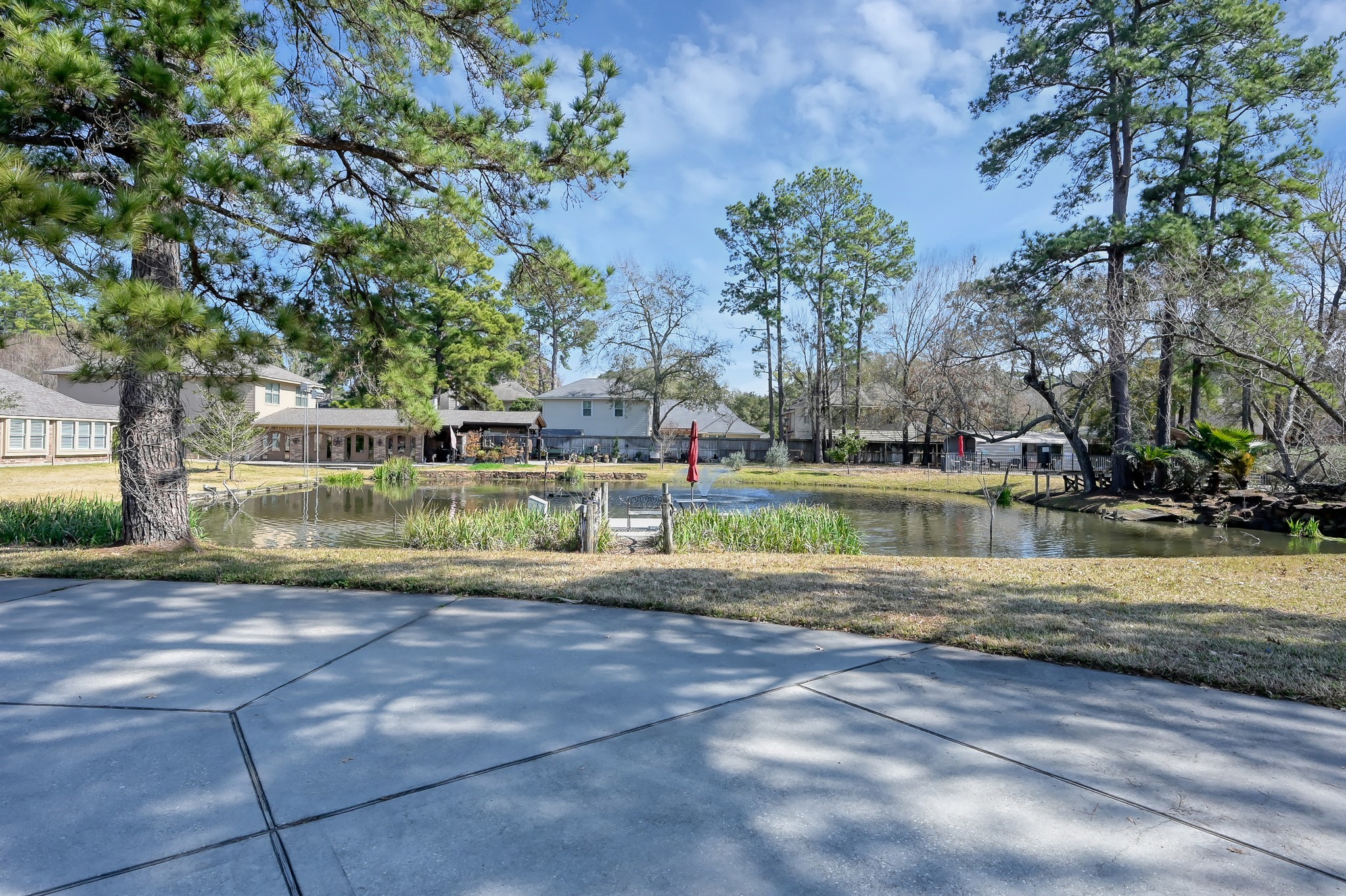 25536 Richards Road Spring, TX 77386 - Photo 41 of 44 Waterfront view of pond!