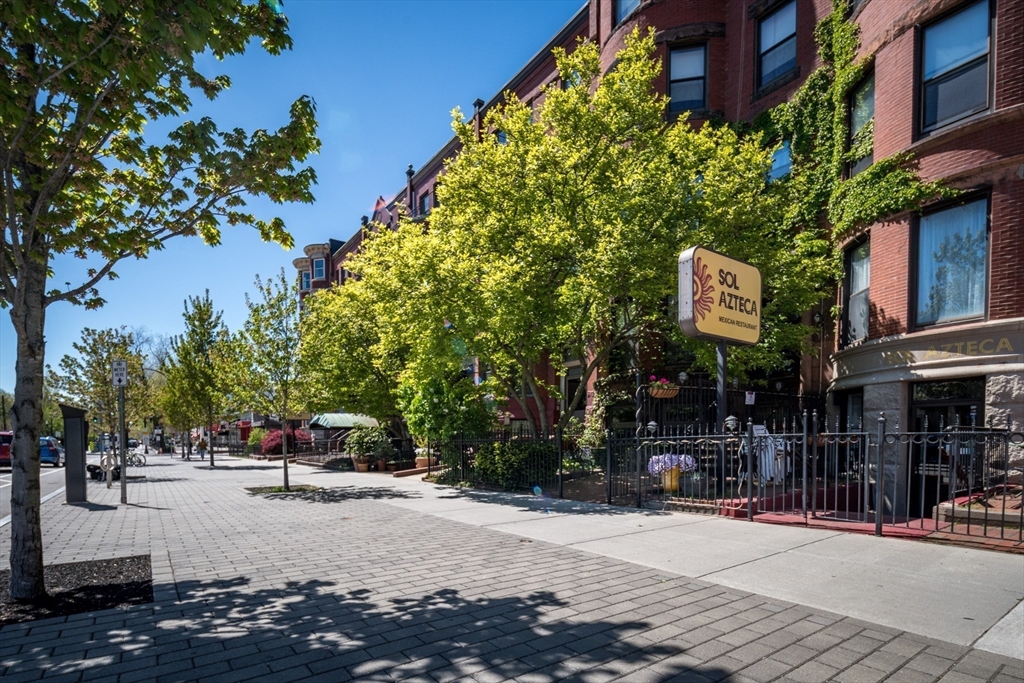 918 Beacon Street, Unit 3 Boston, MA 02215 - Photo 19 of 19 a building with trees in front of it