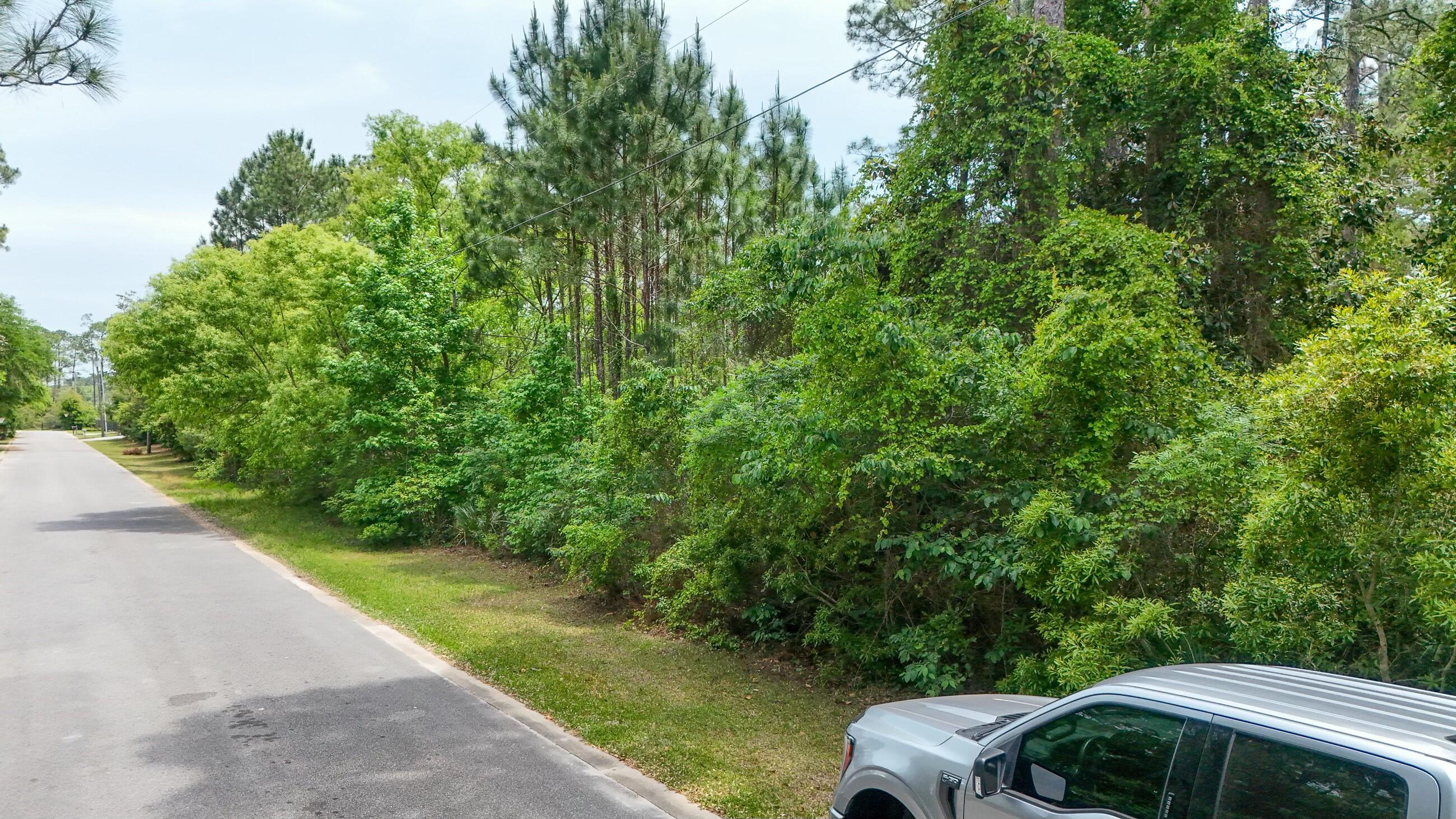 Tbd Silverleaf Lane Santa Rosa Beach, FL 32459 - Photo 3 of 6 Silverleaf Lane