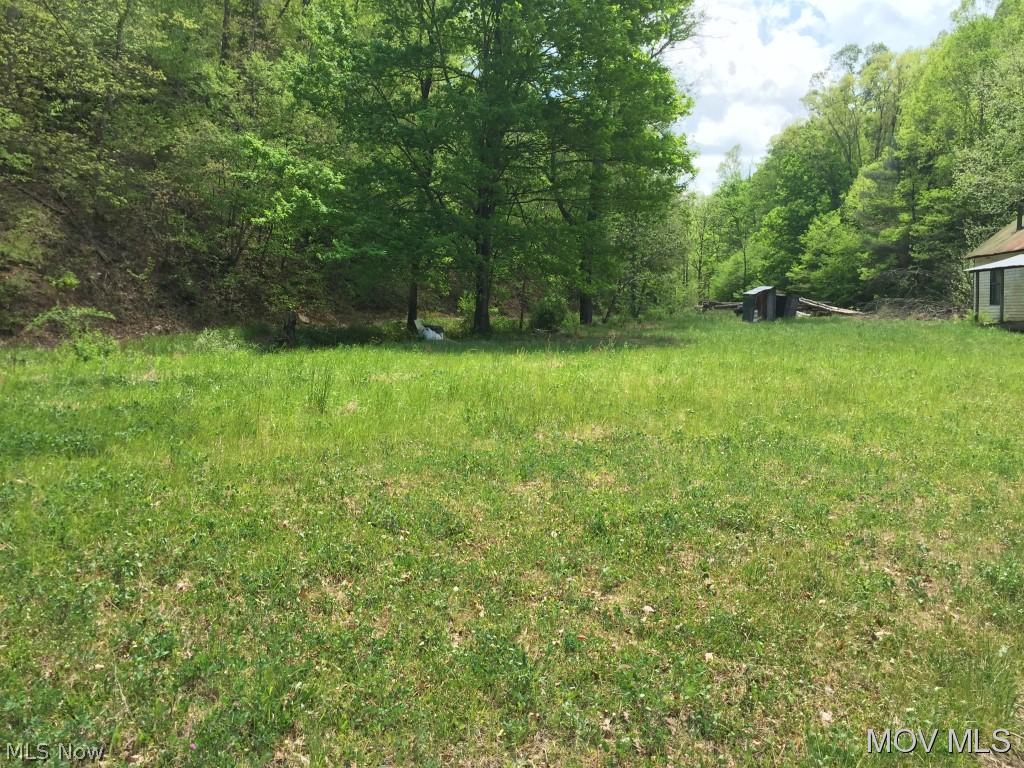 0 Williamson Road Smithville, WV 26178 - Photo 2 of 11