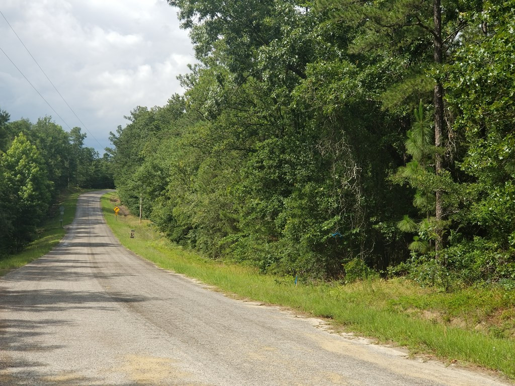 0 Williams Road Trenton, SC 29847 - Photo 2 of 3