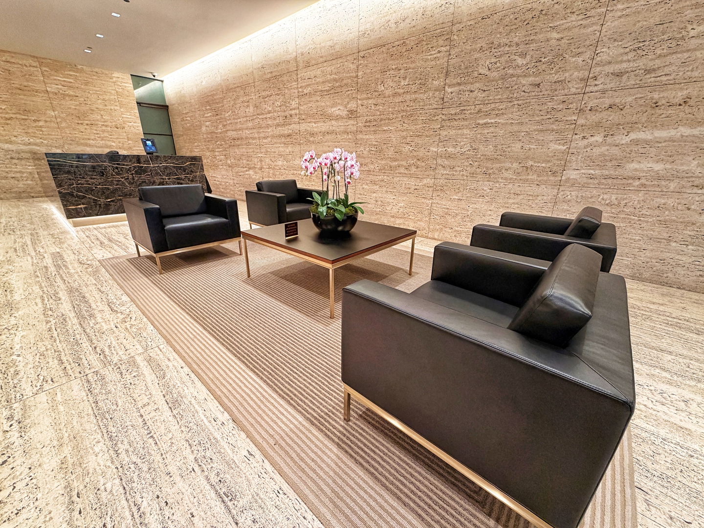 175 East Delaware Place, Unit 5808 Chicago, IL 60611 - Photo 23 of 29 a living room with furniture