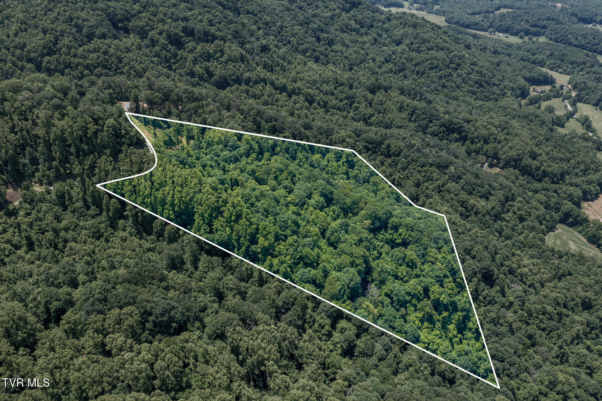 4 Ridgetop Lane, Unit 4 Unicoi, TN 37692 - Photo 12 of 15 Lot 4 Ridgetop Ln (3 of 34)