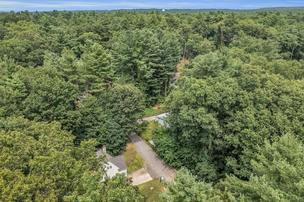 58 Indian Road Groton, MA 01450 - Photo 31 of 35 a view of a forest with a houses