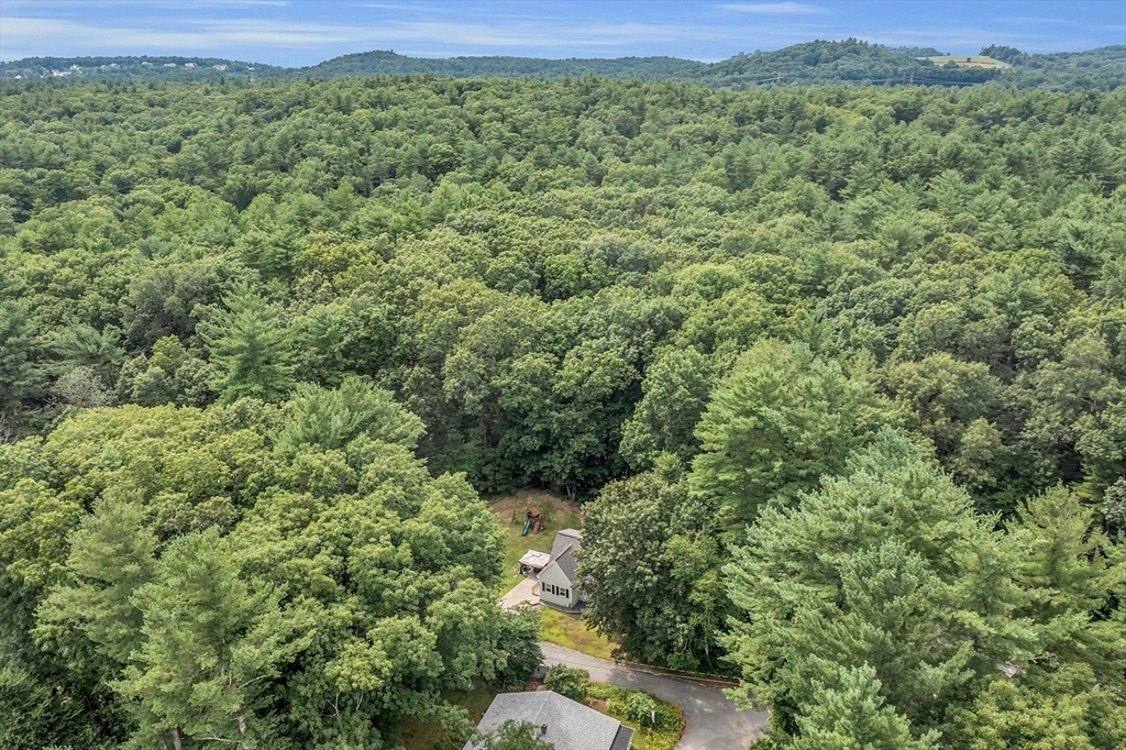 58 Indian Road Groton, MA 01450 - Photo 33 of 35 a view of a lush green forest with trees and houses