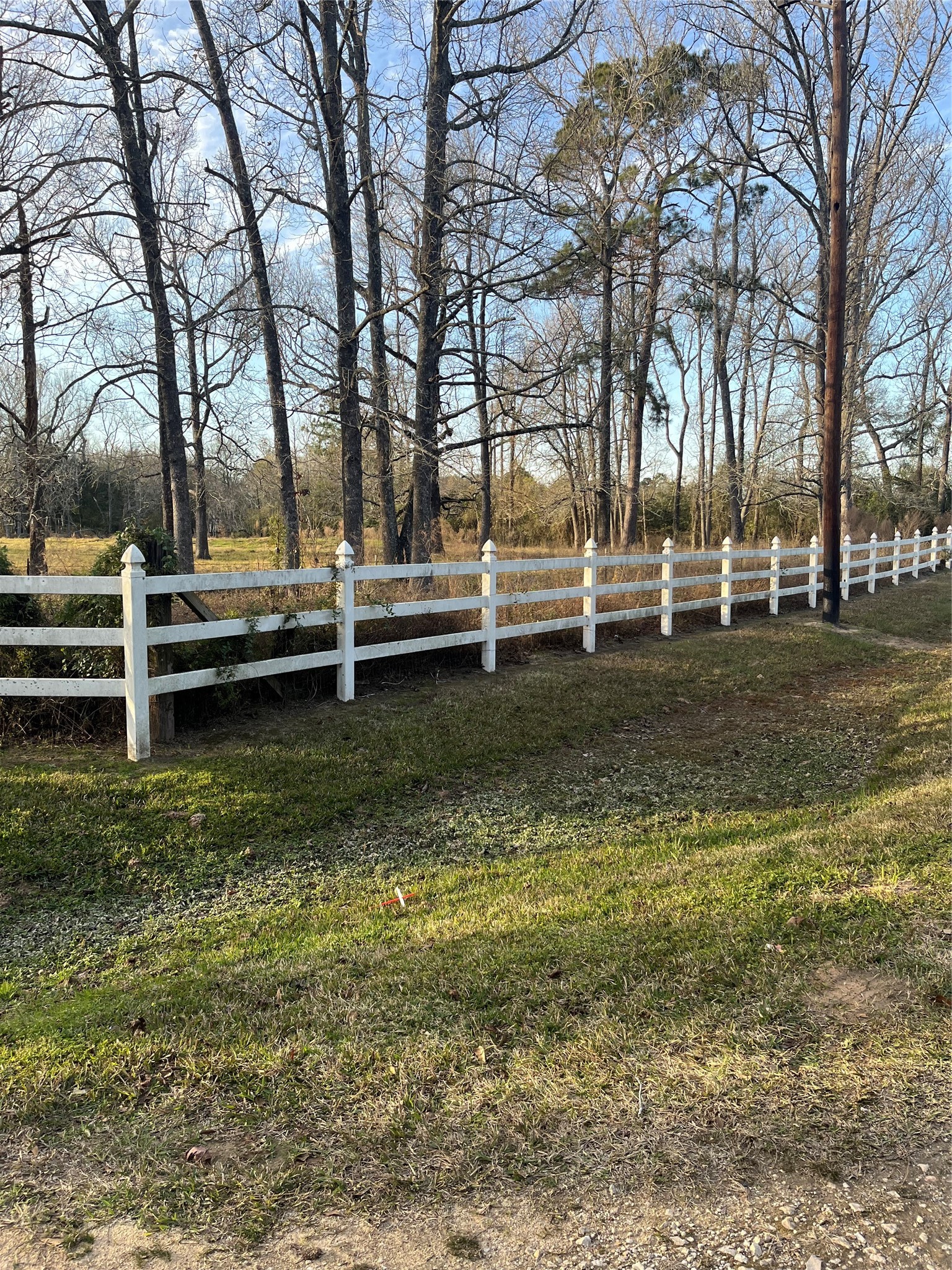 495 County Road 2268 Cleveland, TX 77327 - Photo 4 of 7 a view of a park with large trees