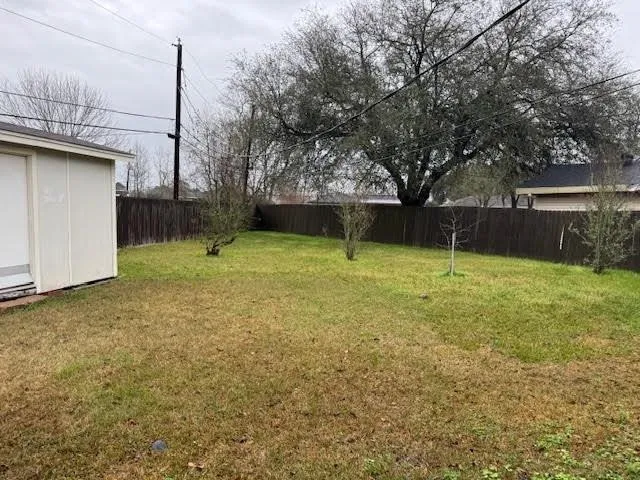 a view of a backyard with a large tree