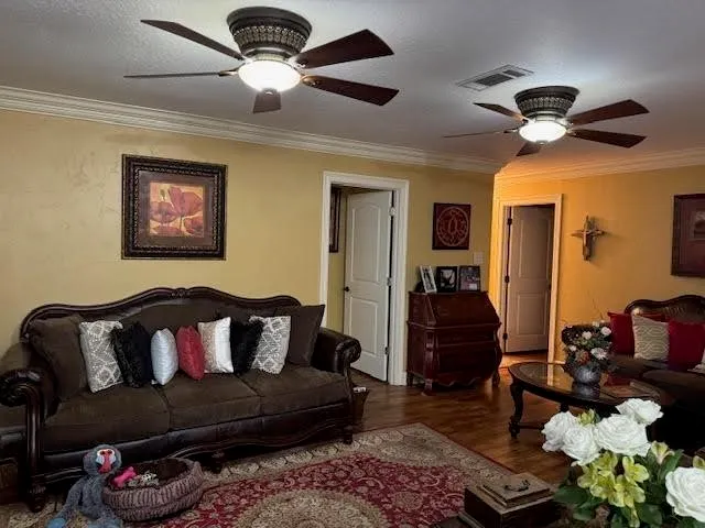 a living room with furniture flowerpot and a chandelier