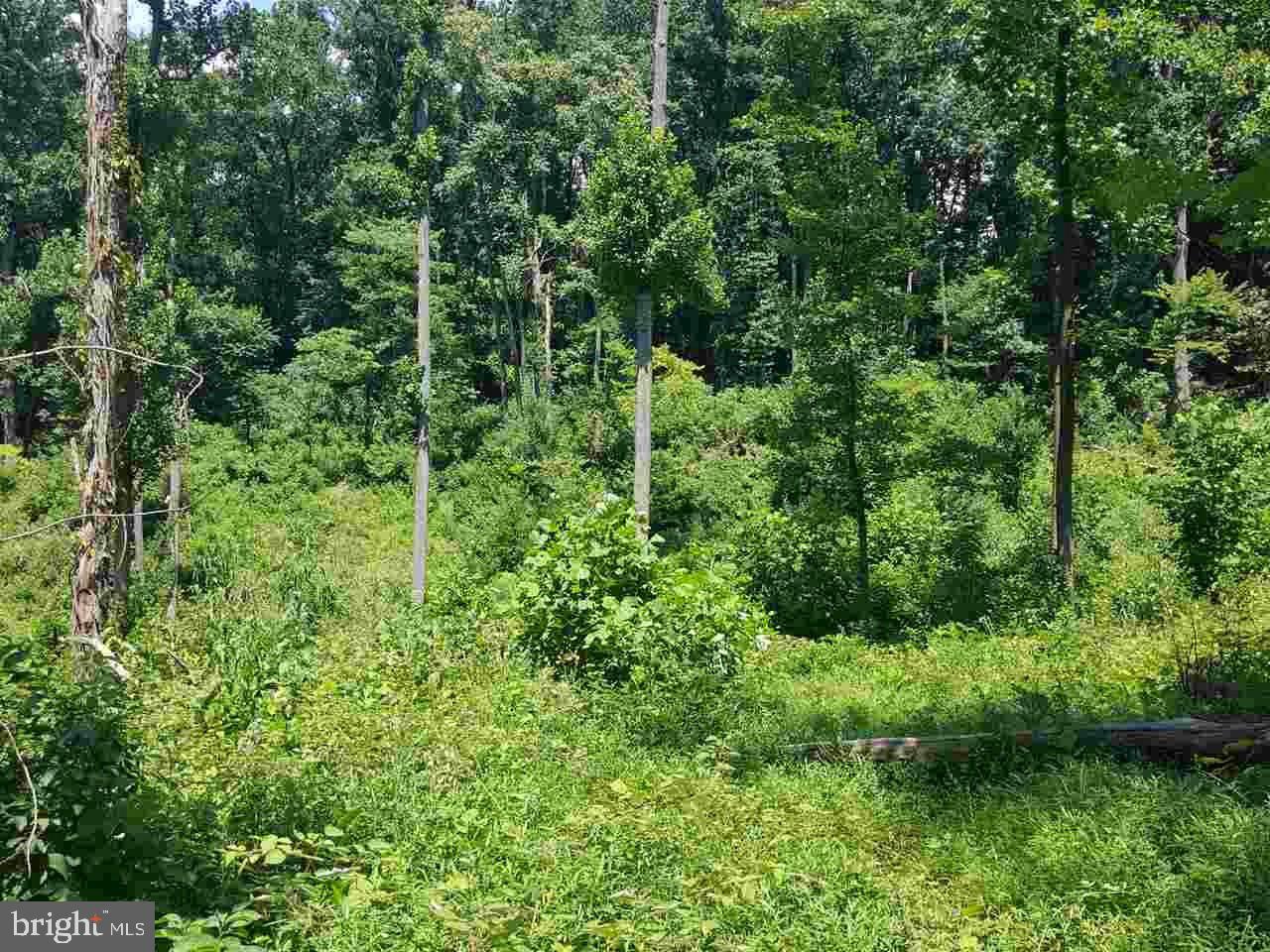 578 Beinhower Road Etters, PA 17319 - Photo 21 of 21 Gallery Image 21