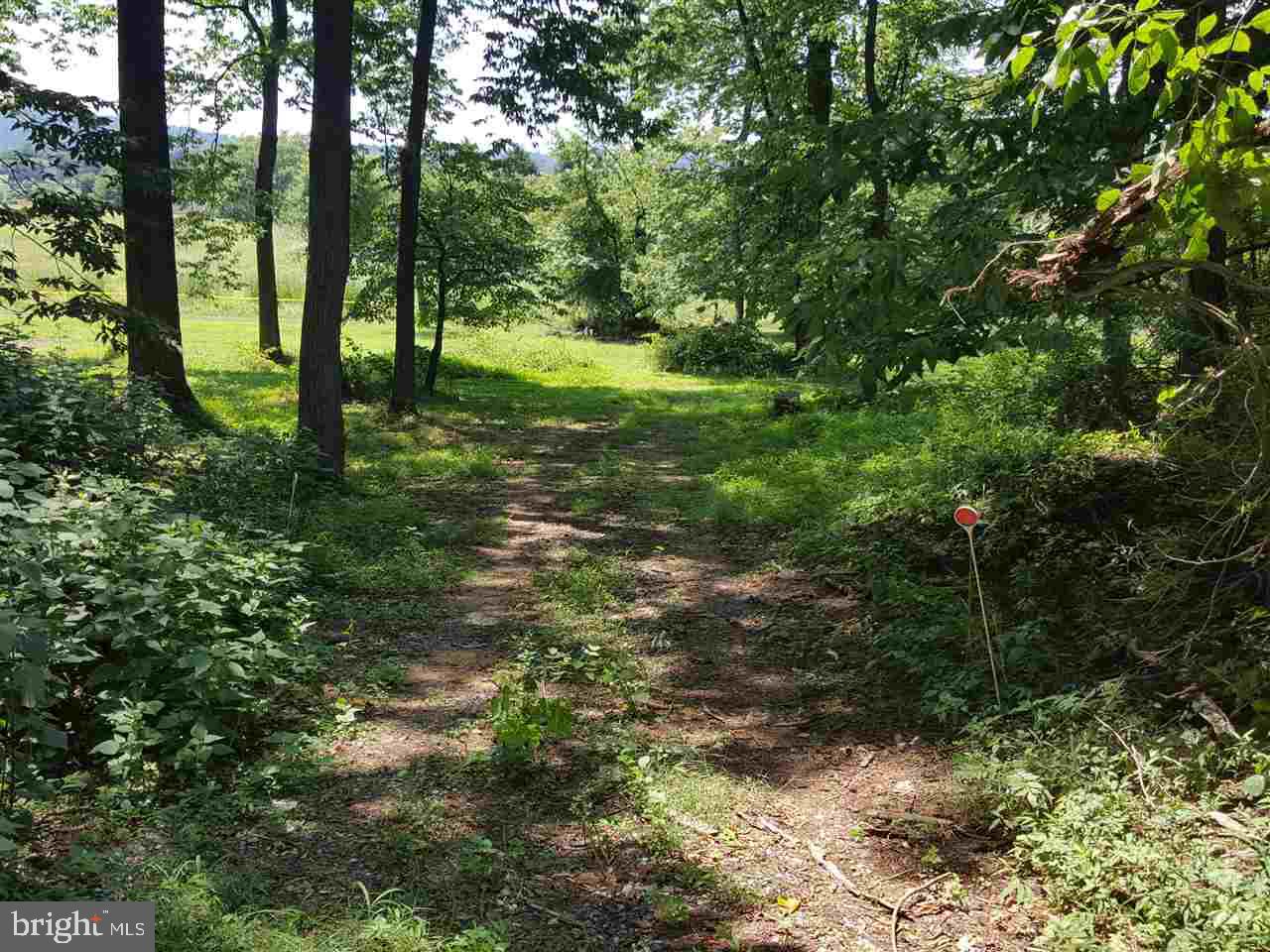 578 Beinhower Road Etters, PA 17319 - Photo 6 of 21 Gallery Image 6