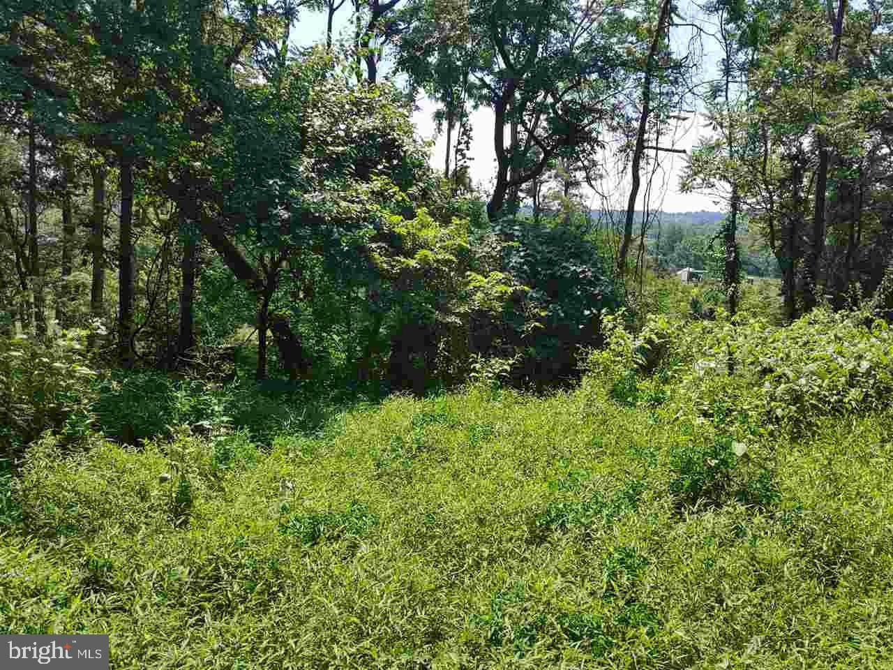 578 Beinhower Road Etters, PA 17319 - Photo 7 of 21 Gallery Image 7