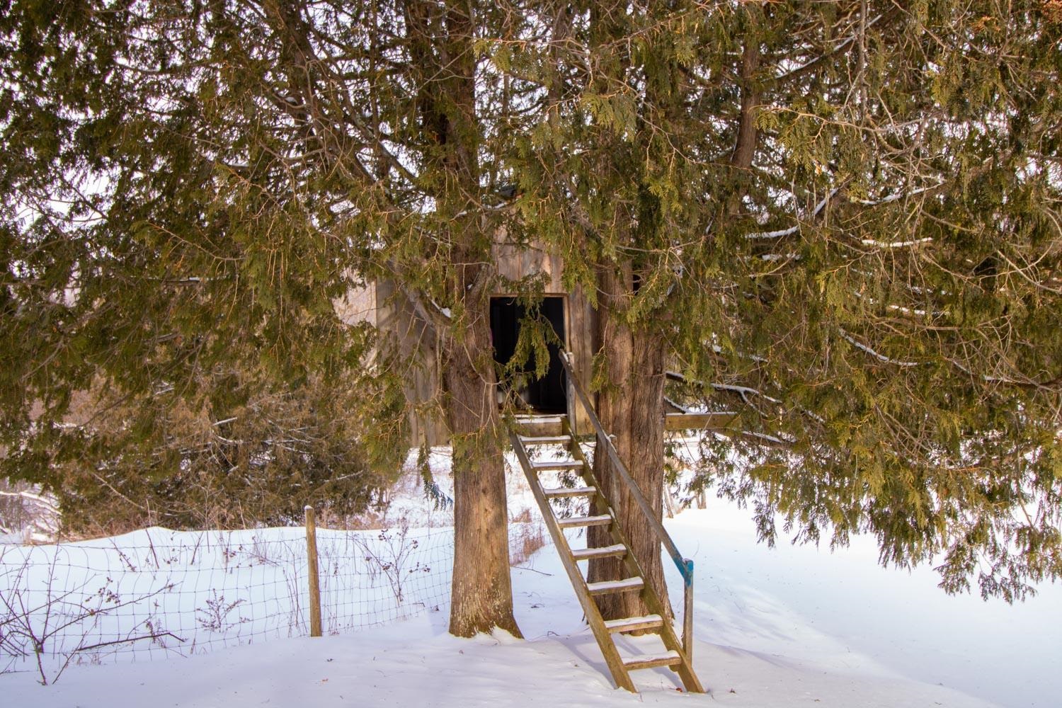 62 Hancock Road Brighton, VT 05846 - Photo 28 of 34 Gallery Image 28